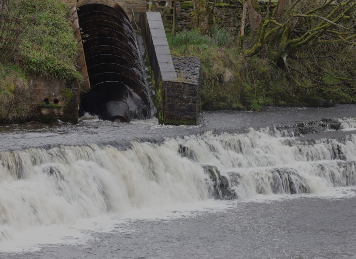 Archimedes at Bainbridge - Martin Hamer